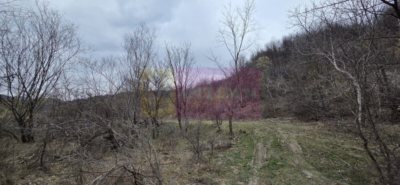 Teren de vanzare in Brebu - Raul Doftana