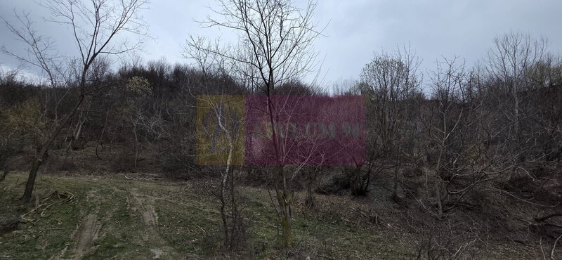 Teren de vanzare in Brebu - Raul Doftana